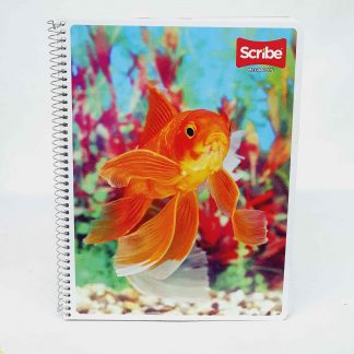 CUADERNOS
