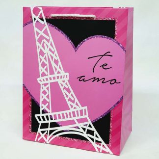 Bolsa de regalo san valentin