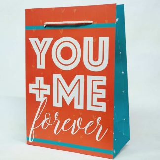 Bolsa de regalo san valentin