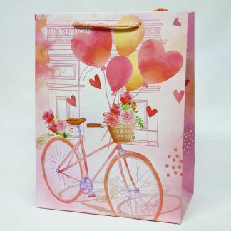 Bolsa de regalo san valentin